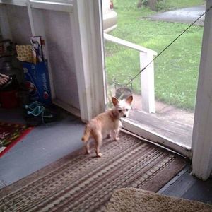 Meet your Posher, Patty